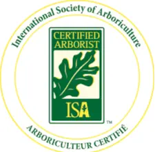ISA-Certified Master Arborist recommended chainsaw sharpener badge